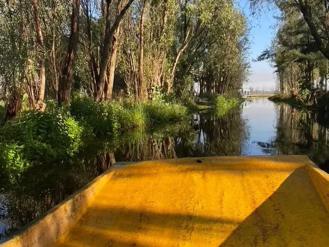 Sunrise Xochimilco Canal Tour in Mexico City