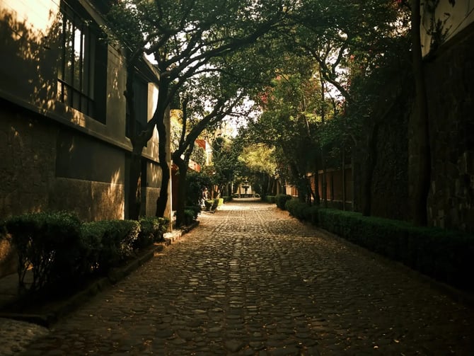 Coyoacán Art History Walking Tour, Mexico City