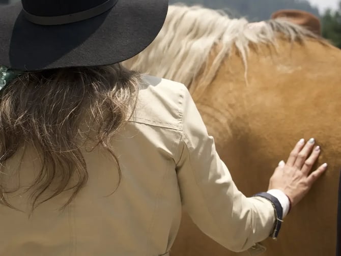 Immersive Equestrian Experience